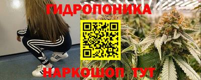 не бодяженный Камышлов