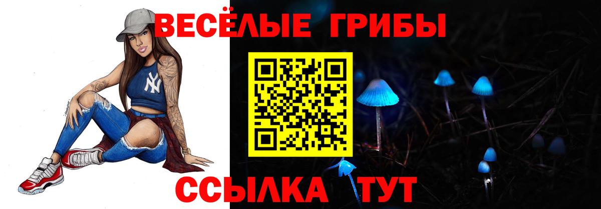 Псилоцибиновые грибы Cubensis Кызыл